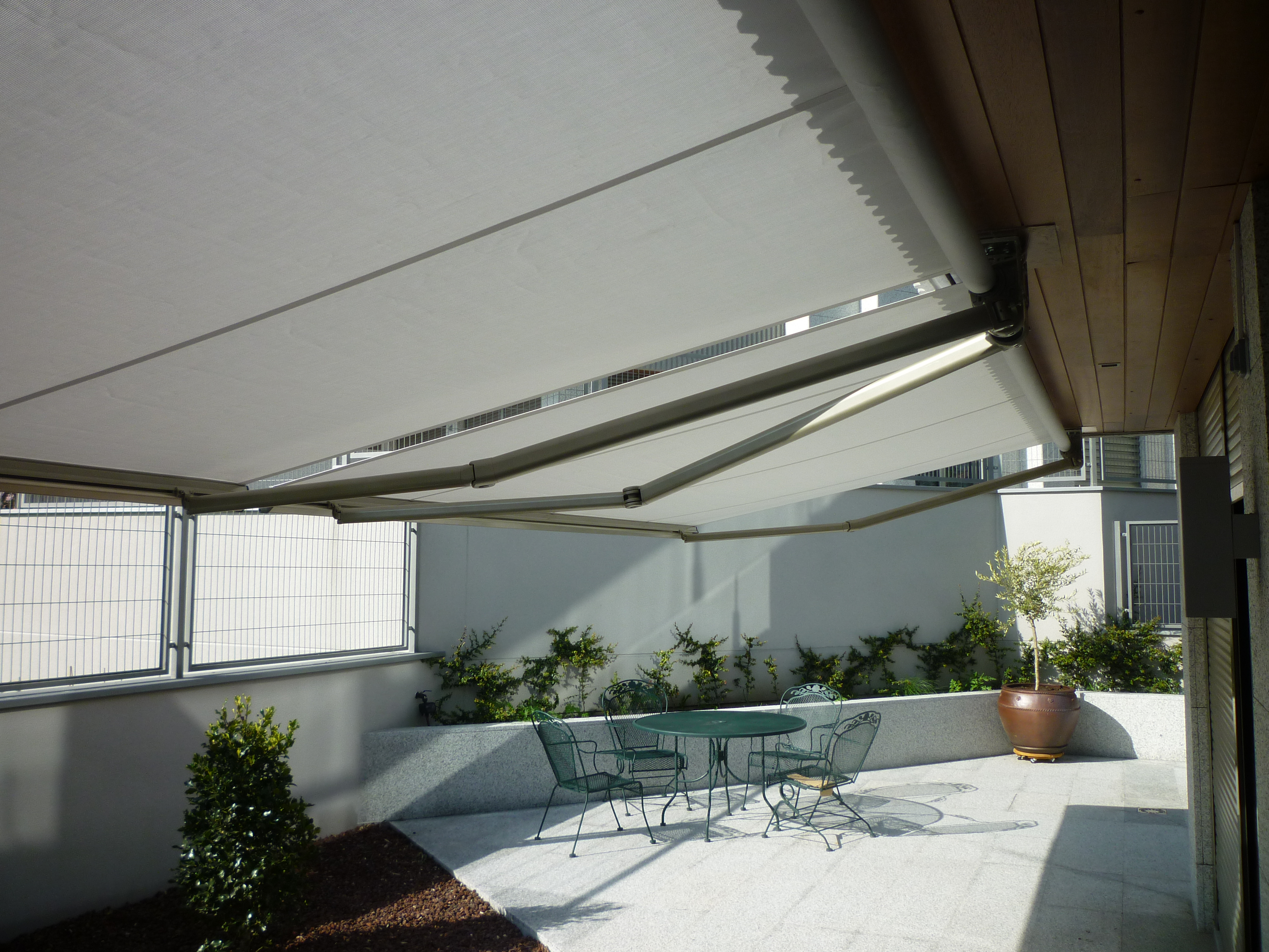 Toldo